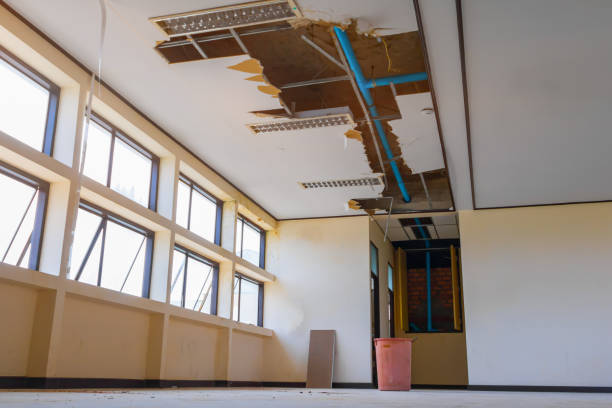 Best Flood restoration services  in Burien, WA