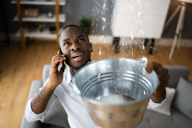 Best Water damage repair service  in Burien, WA