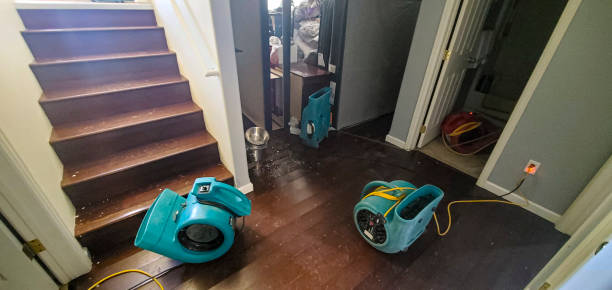 Best Water damage restoration services  in Burien, WA