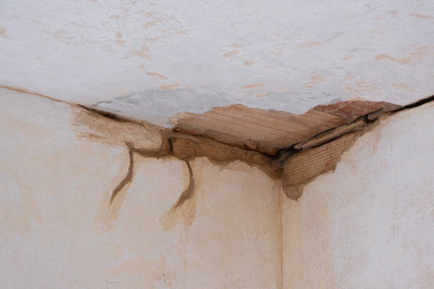 Best Basement water damage restoration  in Burien, WA