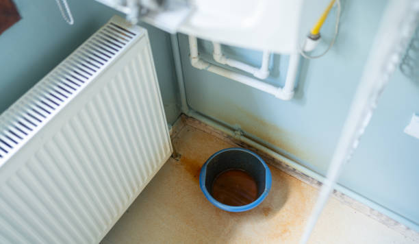 Best Water damage restoration near me  in Burien, WA