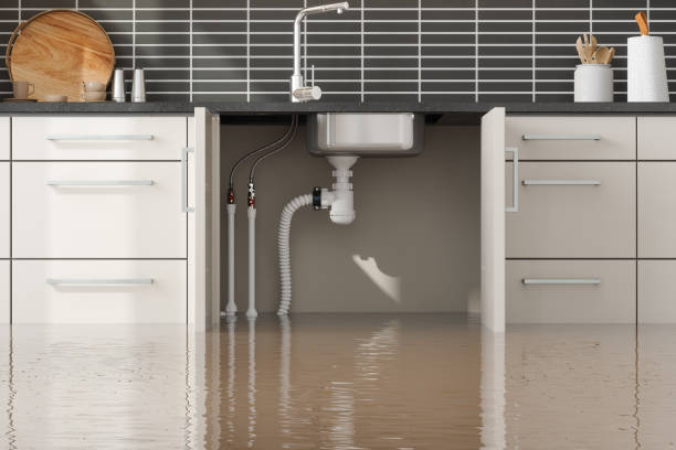 Best Water damage mitigation services  in Burien, WA