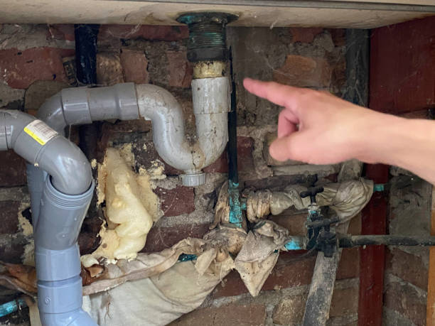 Best Local water damage restoration  in Burien, WA