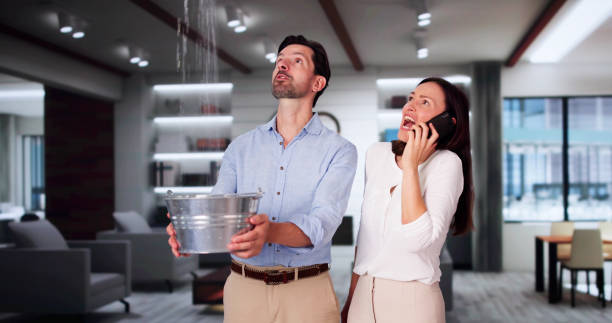 Best Mold removal after water damage  in Burien, WA